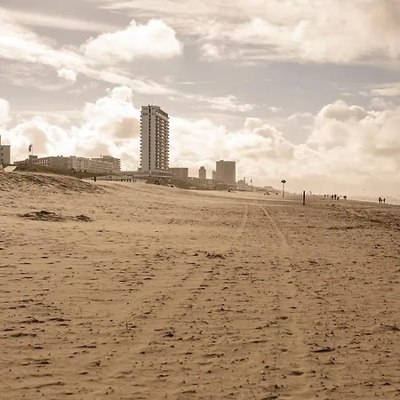 Seastar * Zandvoort