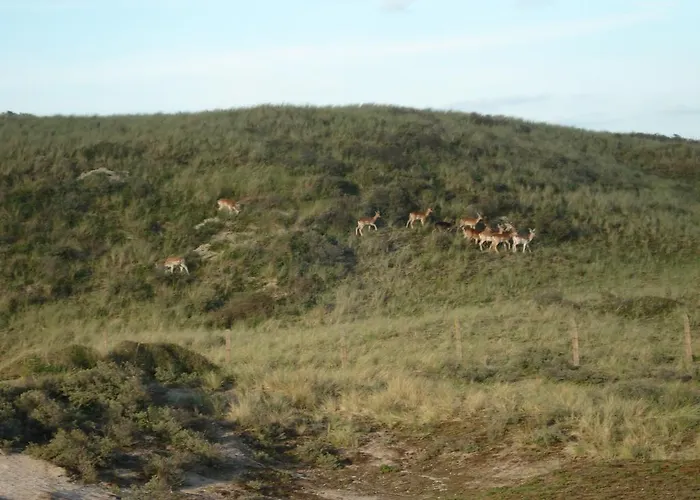 Apartmán Seastar Zandvoort