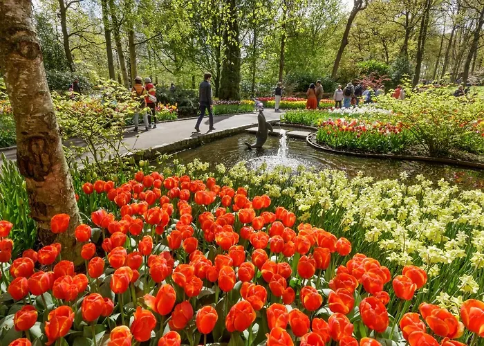 Seastar Apartmán Zandvoort