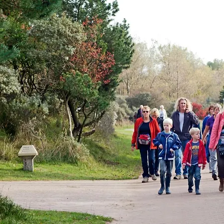 Seastar * זנדוורט