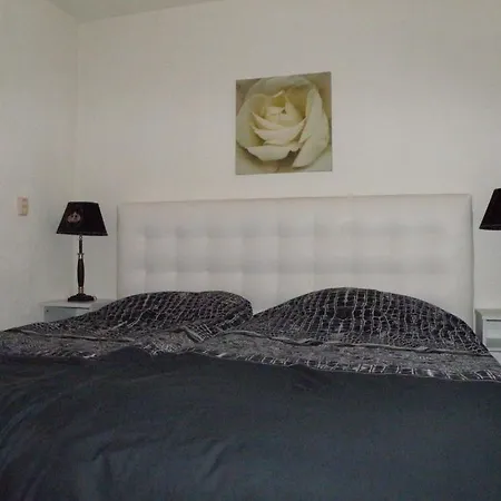 Seastar זנדוורט